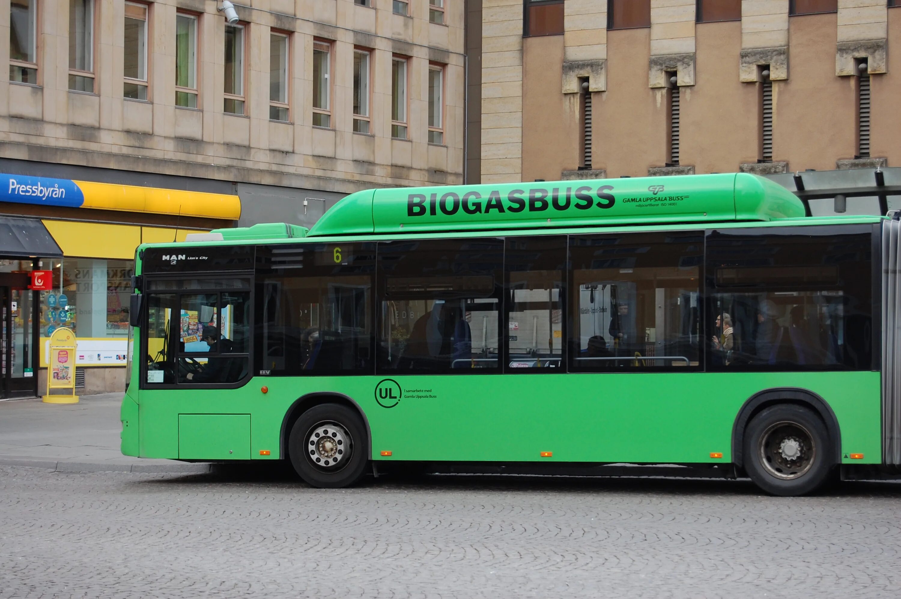 Зеленый автобус. Городской зеленый автобус. Зеленые автобусы город. Муниципальный зелёный автобус.
