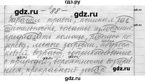 Шмелев 6 класс русский язык упр
