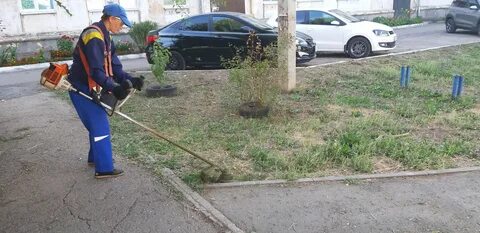 Москва уборка дворов
