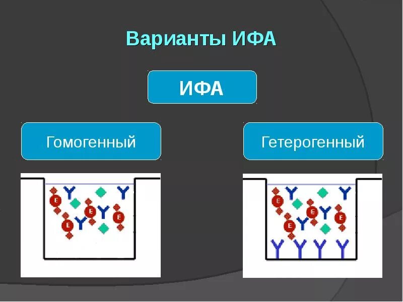 Ифа иммунология. Непрямой неконкурентный ифа. неконкурентный метод ифа. схема ифа иммунология. сэндвич метод ифа.