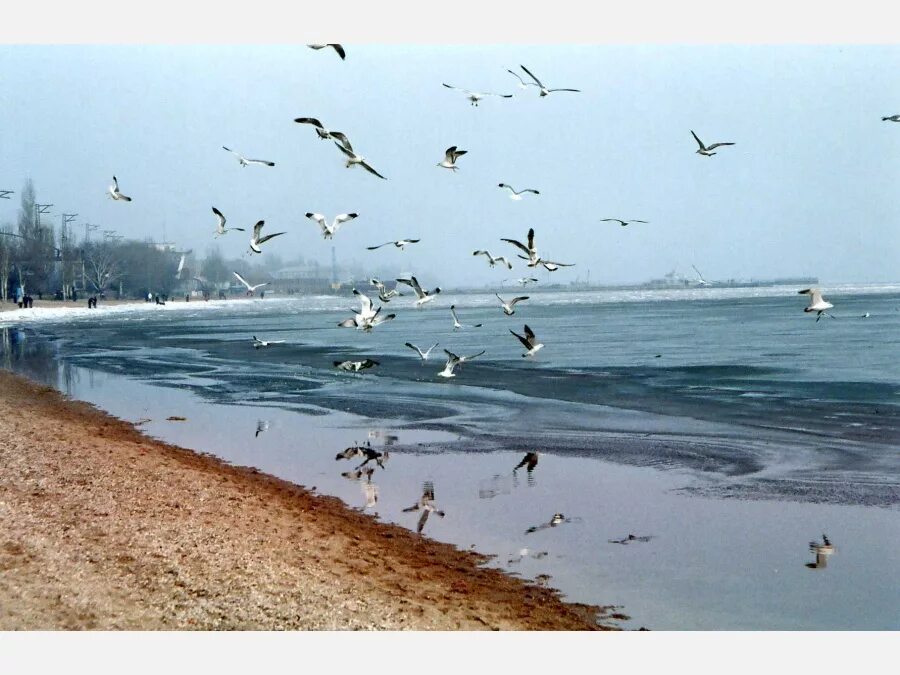 Мариуполь берег Азовского моря. Азовское море Мариуполь. Азовское море Мариуполь пляж. Мариуполь море.