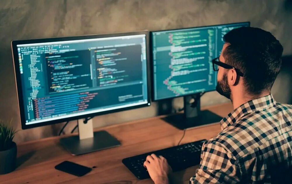 Software developer is
