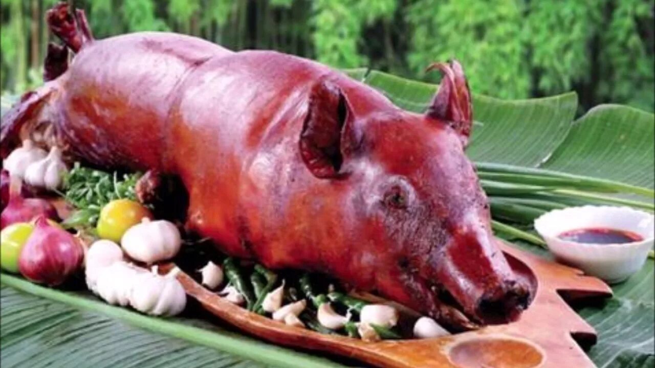 Свинья ест мясо