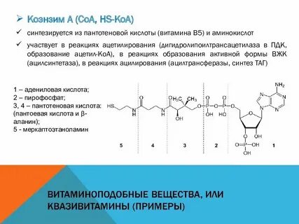 В каких метол