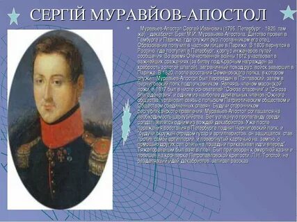 Муравьи апостол
