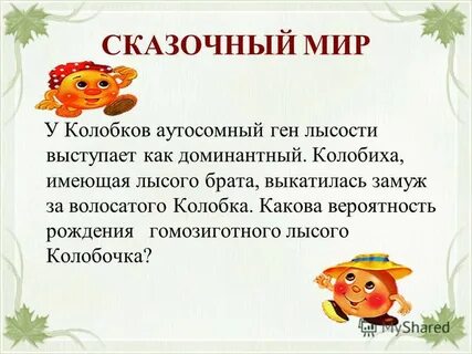 У колобков ген лысости