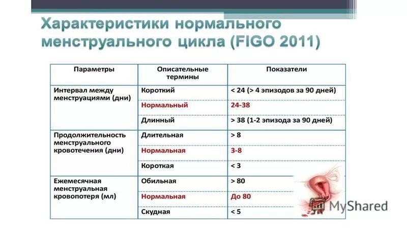 Параметры нормального менструального цикла. Параметры нормального менструационного цикла. Характеристика менструального цикла. Показатели нормы менструального цикла. Максимальный срок между