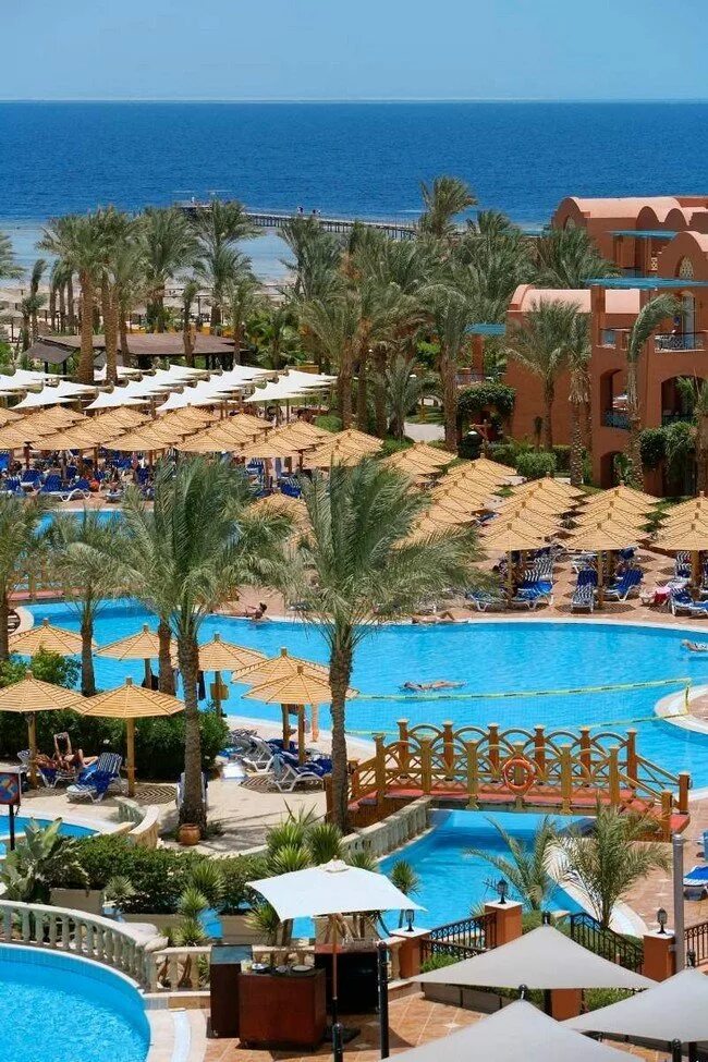мэджик ворлд шарм египет шарм-эль-шейх. Magic sharm. отель club magic life sharm el sheikh imperial 5. египет шарм-эль-шейх мейджик клаб. отель club magic life sharm el sheikh imperial 5.