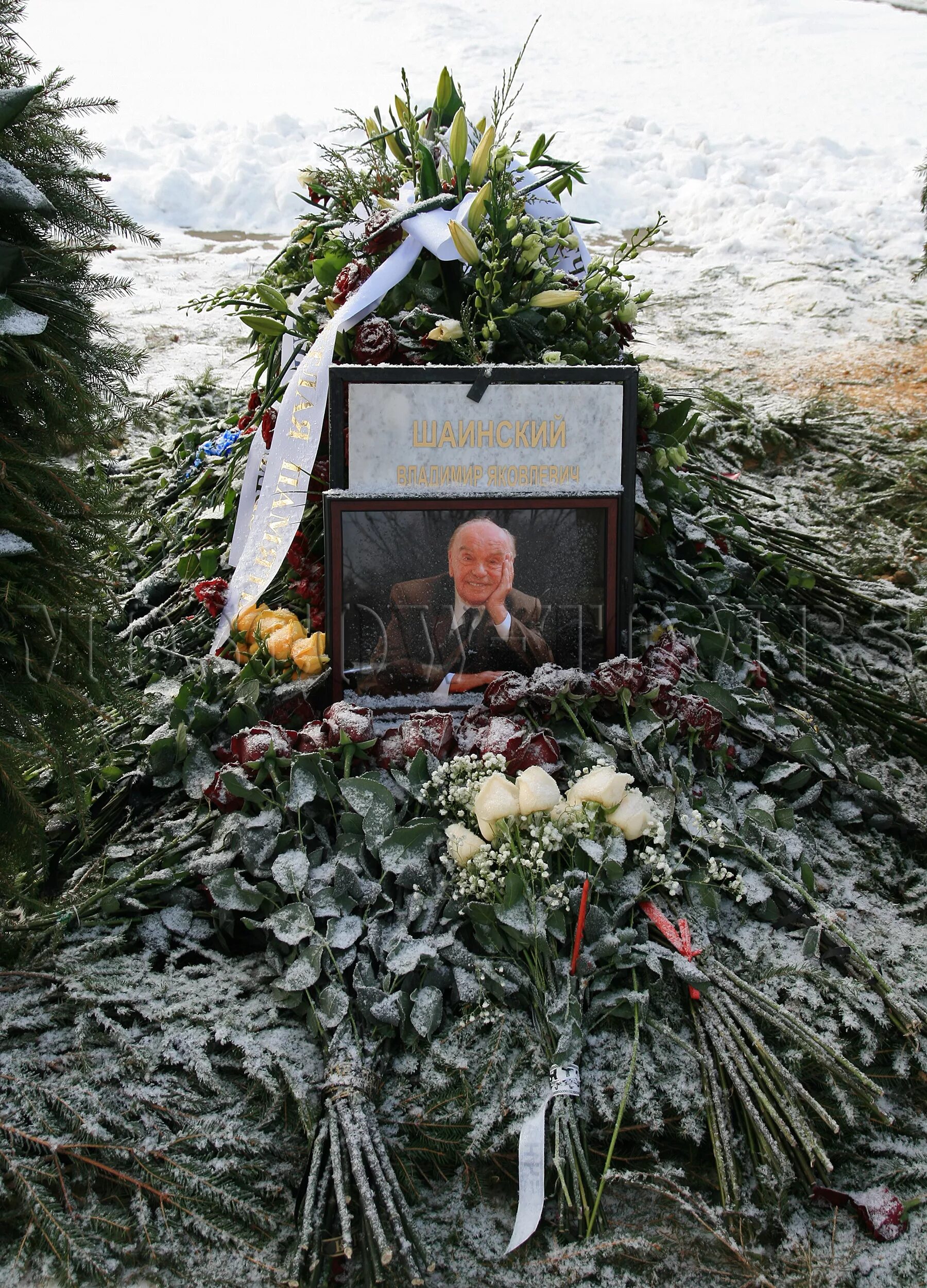 Памятник шаинскому на могиле троекуровском кладбище. Памятник шаинскому на могиле троекуровском кладбище. Троекуровское шаинский. Памятник шаинскому на троекуровском кладбище. Троекуровское кладбище шаинский.