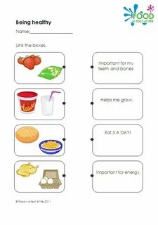 Food 1 exercises