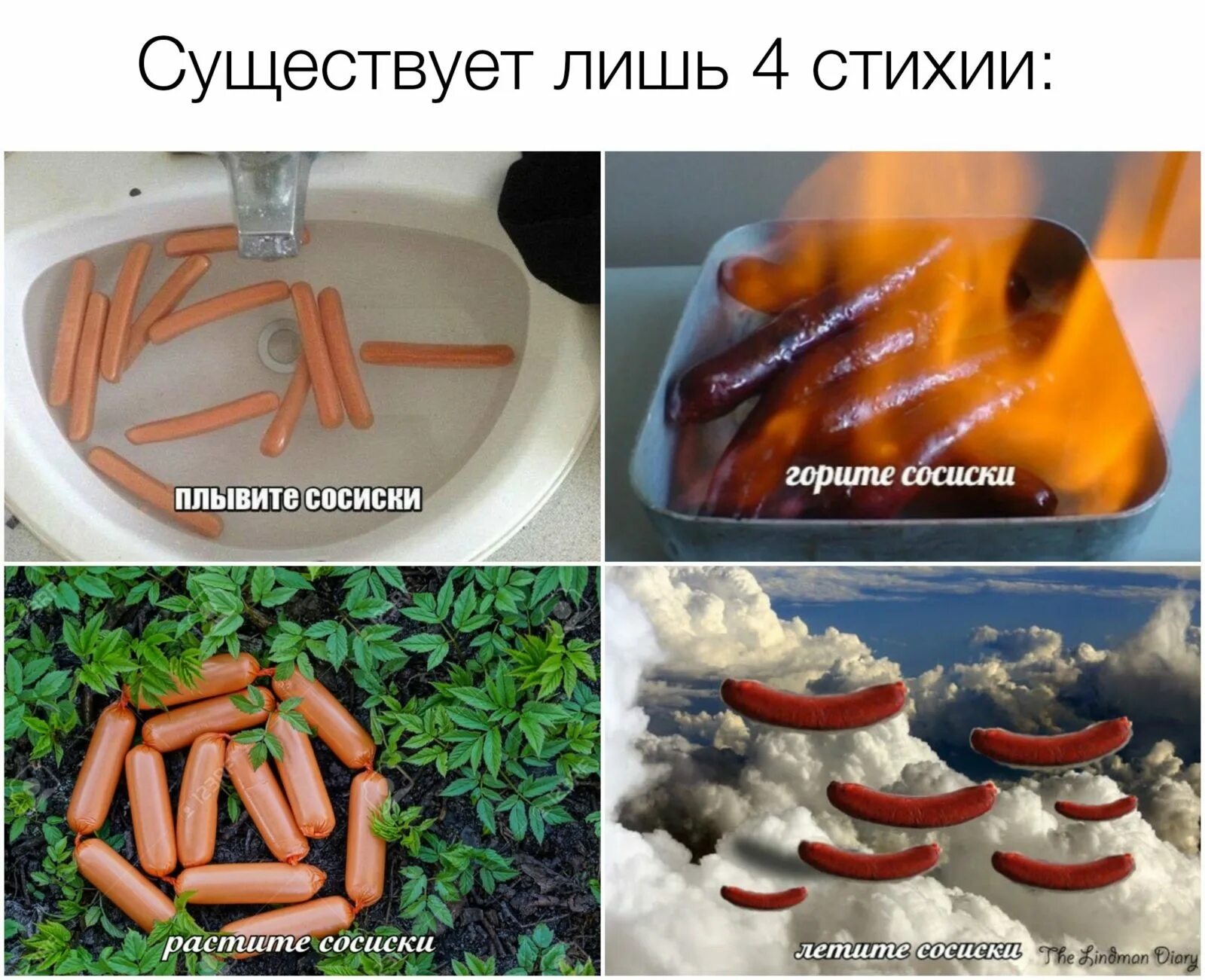 Плывите сосиски. Сосиски плывут. мем плывите плывите сосиски. плывиски сосиски мем.