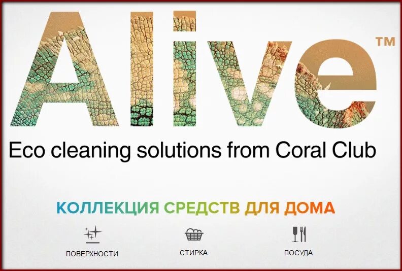 Coral life. Alive коралловый клуб.