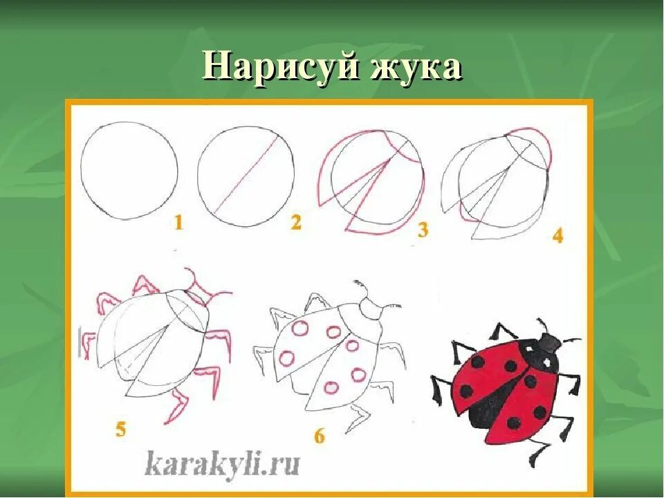 Как рисовать коровку. Поэтапное рисование Божьей коровки. Пошаговое рисование Божьей коровки для детей. Схема рисования насекомых для дошкольников. Поэтапное рисование жука.