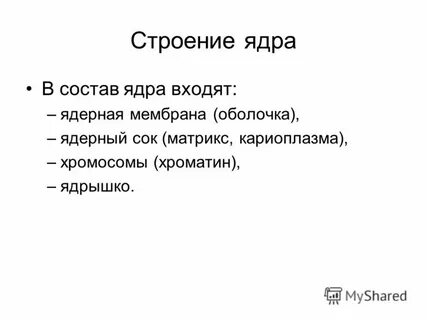 Состав ядра системы
