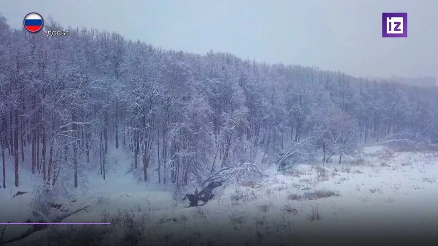 Все живое накрыло морозом. Какой ветер самый холодный в России зимой.