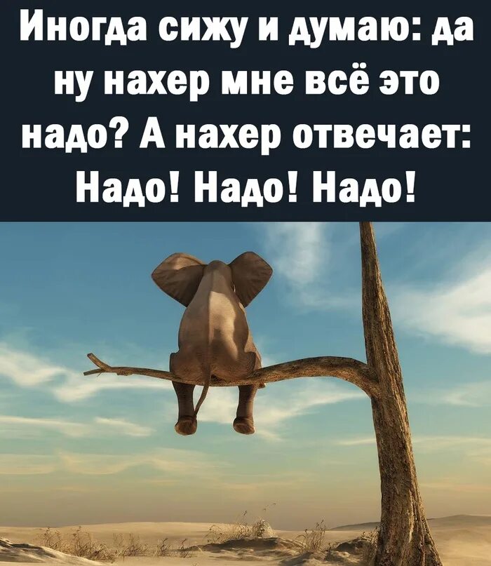 Что то я и думаю. Иногда сидишь и думаешь. вот иногда сижу и думаю. иногда сижу и думаю да ну нахер мне всё это надо а. иногда сижу и думаю картинки.