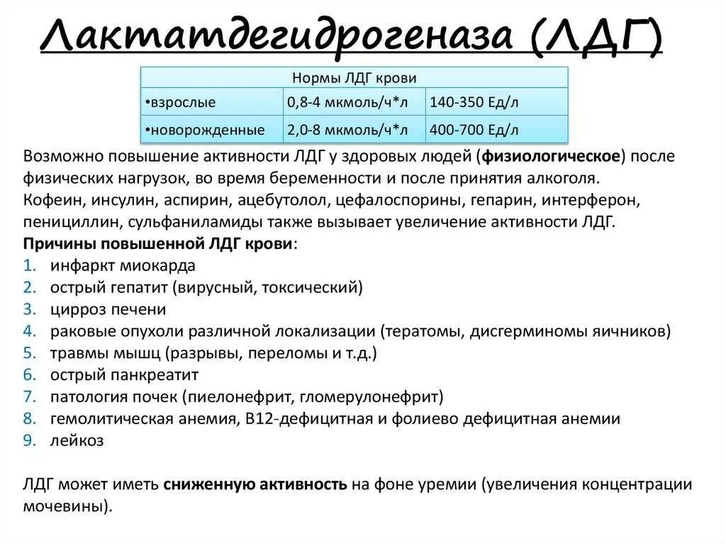 Анализ крови лдг повышен. Повышение ЛДГ В крови причины. Причины повышения ЛДГ. Показатель активности ЛДГ В крови. Норма активность ЛДГ.