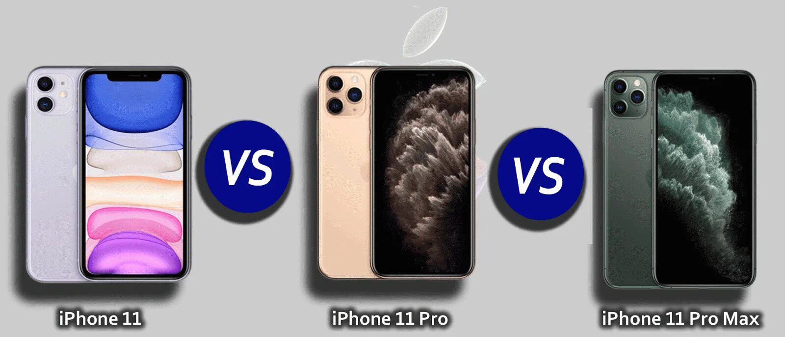 Iphone 11 Pro vs Promax. Iphone 11 vs 11 Pro. Iphone 11 Pro Max габариты. Iphone 11 Pro vs iphone 11 Pro Max. Айфон 11 про герцы