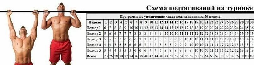 Схема подтягиваний. Схема подтягиваний на турнике. Подтягивание на перекладине схема. Программа подтягиваний на турнике. План подтягиваний