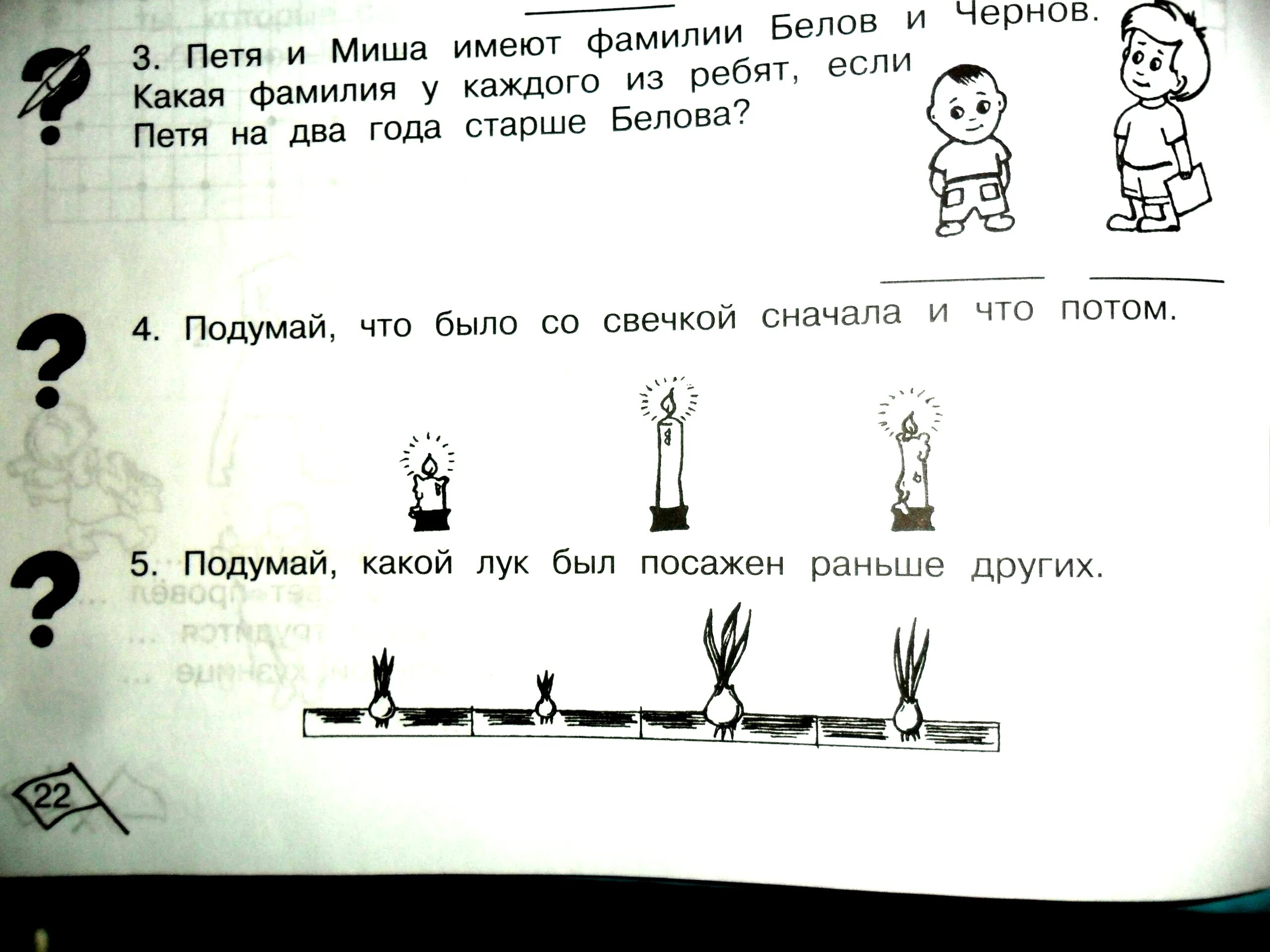 Толстой был у пети и миши конь. Посажена раньше задания для дошкольников. Подумай какой лук был посажен раньше других. Задачки на логику с ответами. Загадки на логику в картинках взрослые.