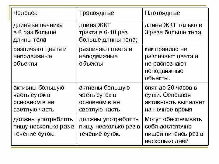 У каких животных короткий кишечник. Строение кишечника травоядных. Длина кишечника травоядных. Кишечник травоядных и хищников. Строение кишечника хищника и травоядного.