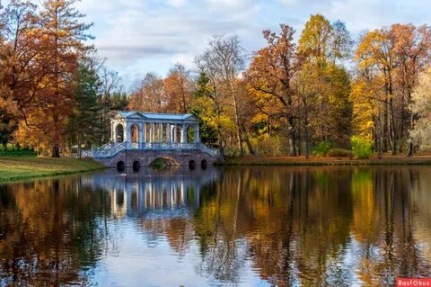 Лучше в пушкине