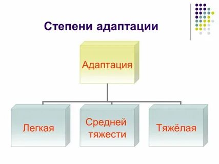 Степени адаптации