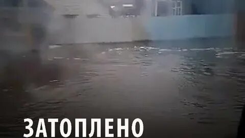 Не затопленные еще бугорки