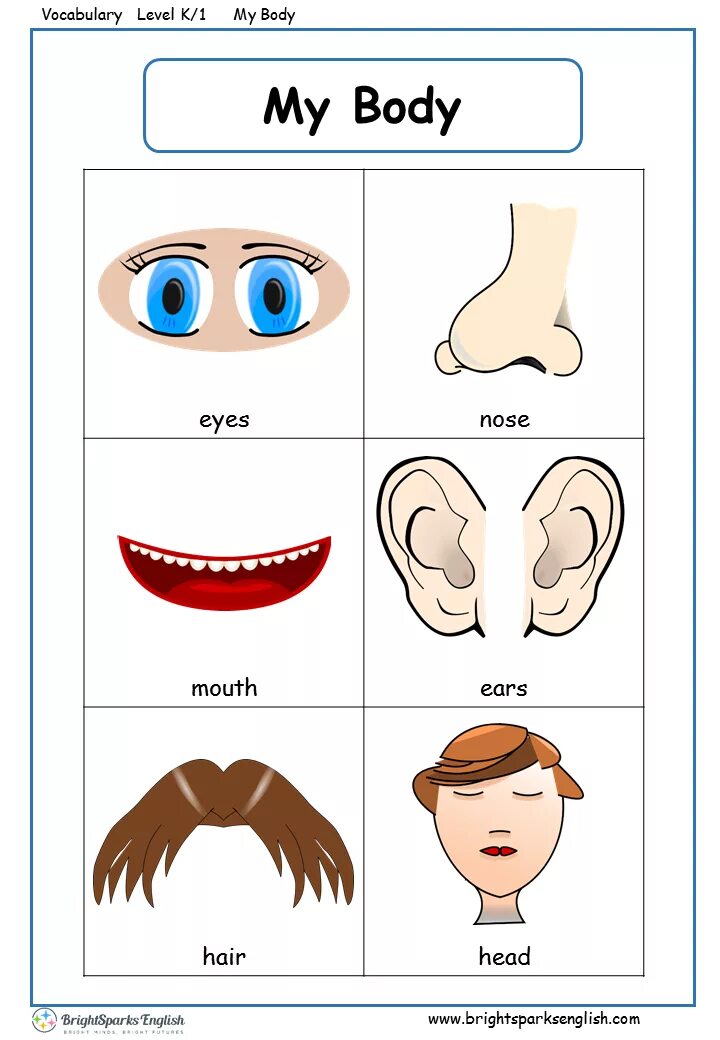 Умные глаза по английски 2 класс. Части лица на английском для детей. Части тела на английском для детей. Карточки с изображением частей лица. Части лица на английском 2 класс.