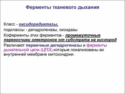 Ферменты это в биологии 9