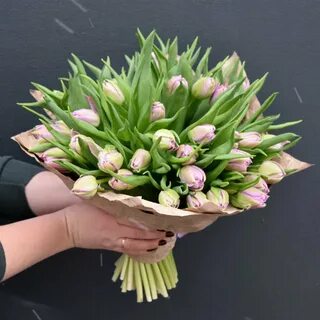 Букет тюльпанов за рубль