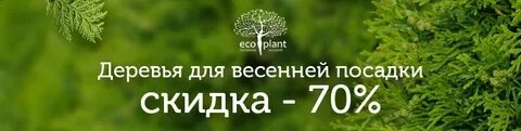 Питомник экоплант в спб адрес