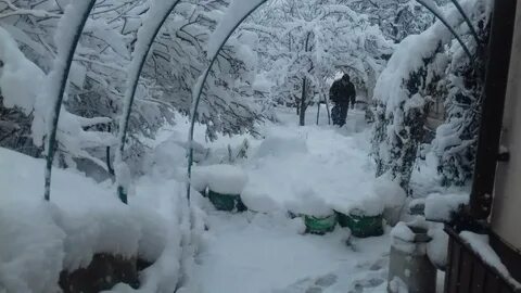 Когда пойдет снег в волгограде