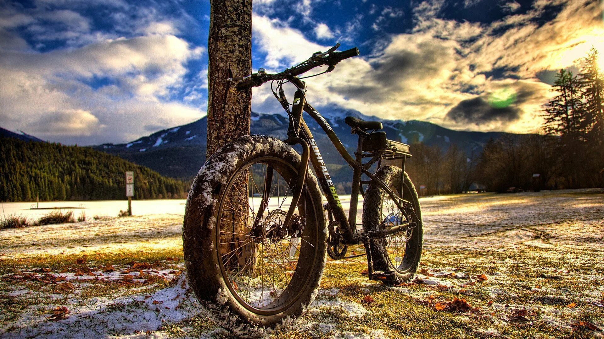 Bicycles are the most. Bicycles are the most
