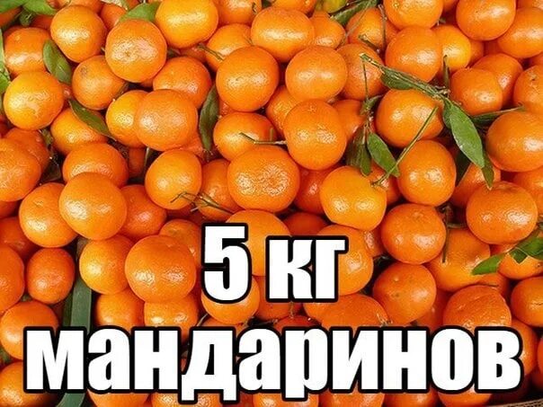 Кг мандаринов. Пять мандаринов. Килограмм мандарин. 5 Кг мандаринов.