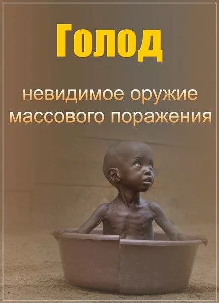 Последствия голода. Смешные картинки на тему голод. Реклама голод