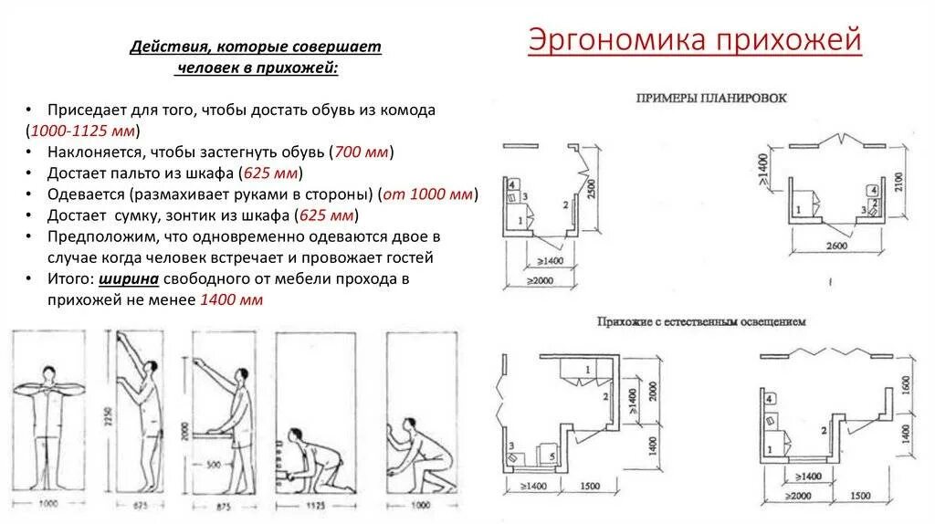 Эргономика прихожей схема с размерами. Эргономика коридоров и проходов в квартире. Ширина коридора эргономика схемы. Ширина гардеробной эргономика.