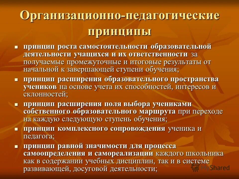 Принципы образовательной работы. Принципы образовательной работы. Примеры работы с одаренными детьми. Принципы учебной деятельности. Принципы образовательной работы.