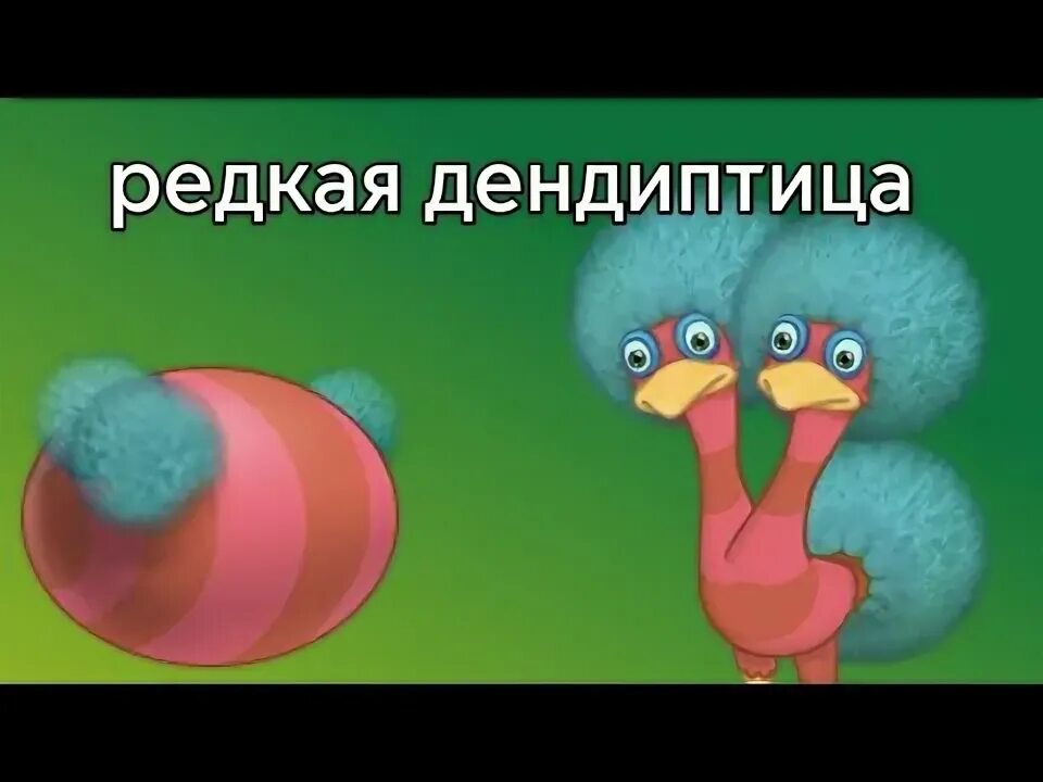 Как вывести дендиптицу в my. Как вывести дендиптицу в my