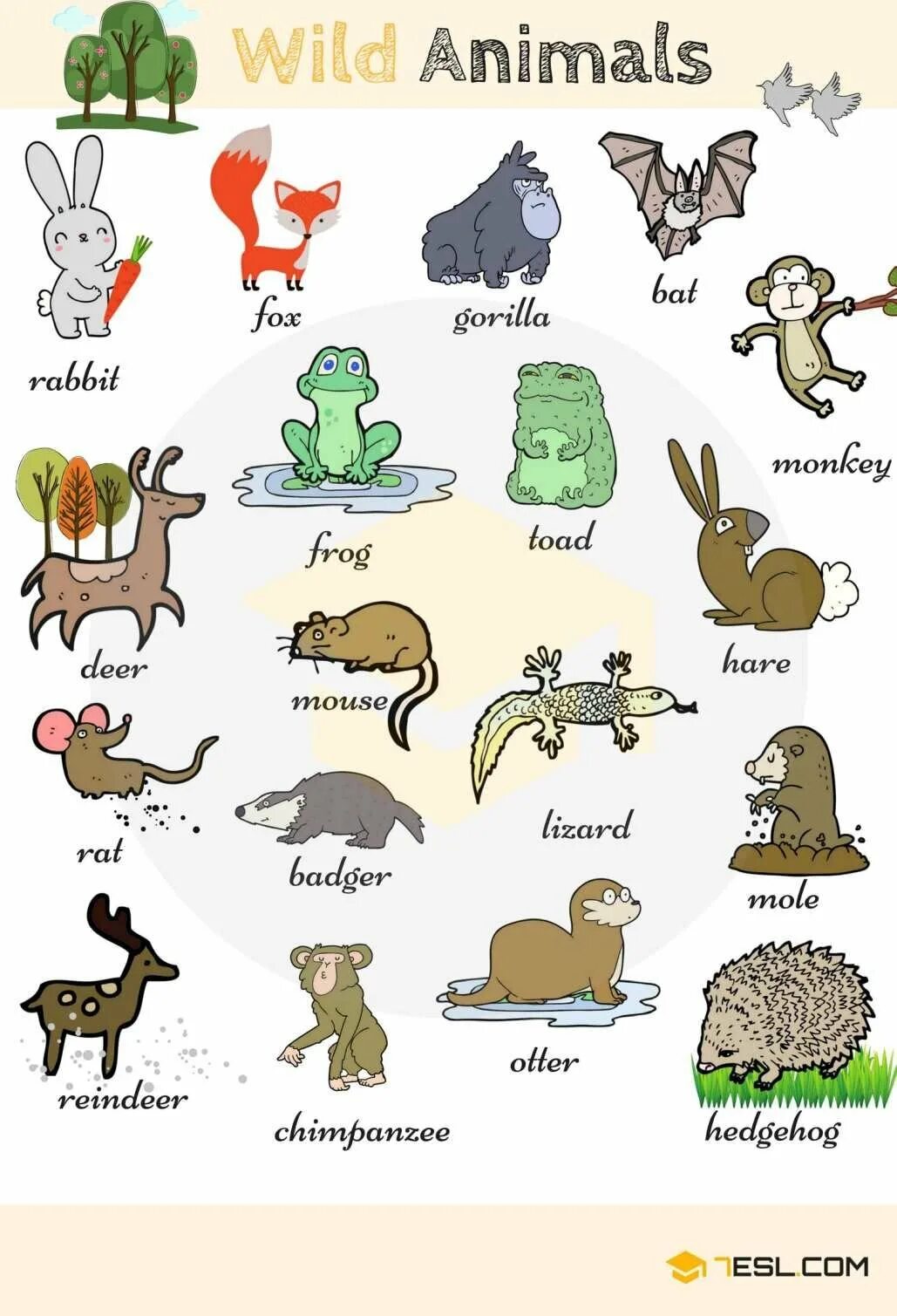 Нарисовать животное 3 класс английский язык. Животные на английском для детей. Домашние животные на английском. Дикие животные на английском для детей. Животные названия на английском.