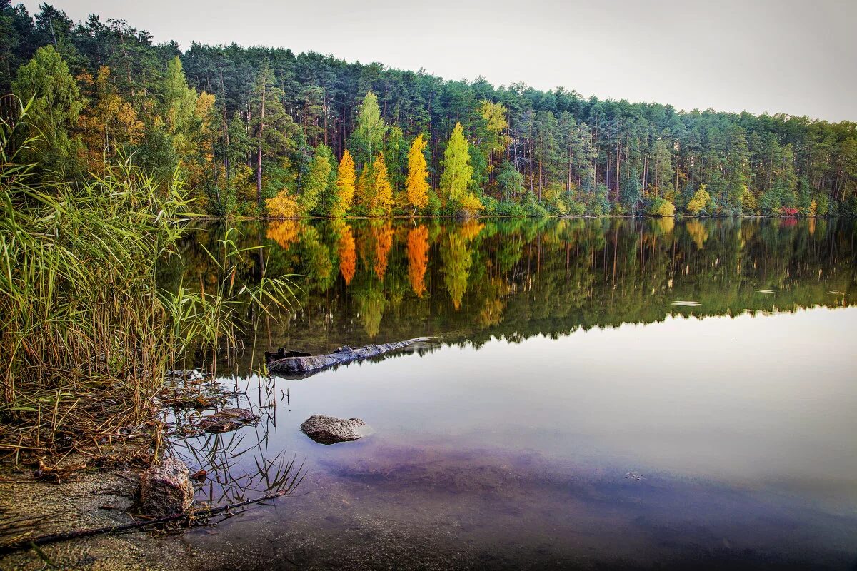 Озеро тургояк и инышко. Озеро инышко миасс. Озеро инышко миасс. Инышко озеро челябинская. Озеро инышко челябинская область в миассе.