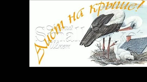 Песня люди потише аист