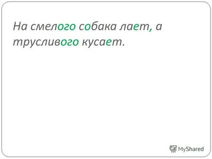 На собака лает а кусает