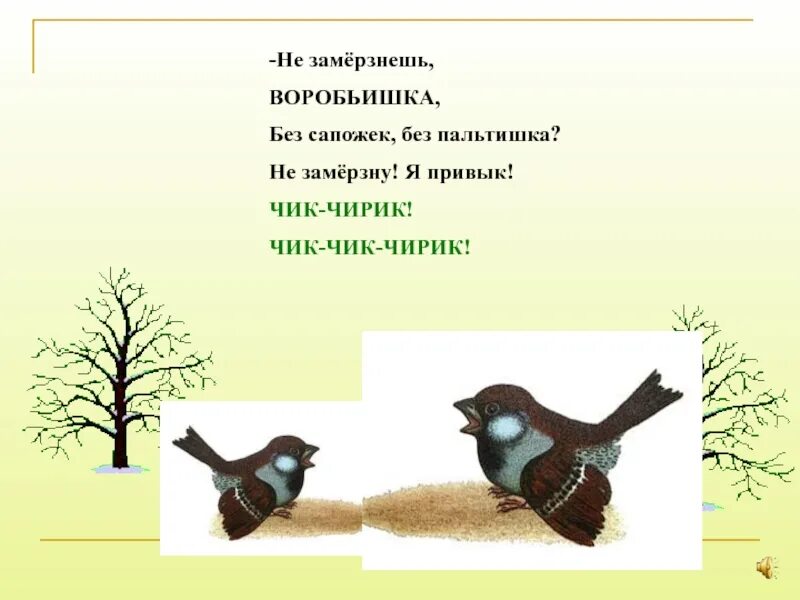 Чик чирик это птица. Угадайте птицу. Песня про весну. Тема перелетные птицы для дошкольников. Песня птичка чик.