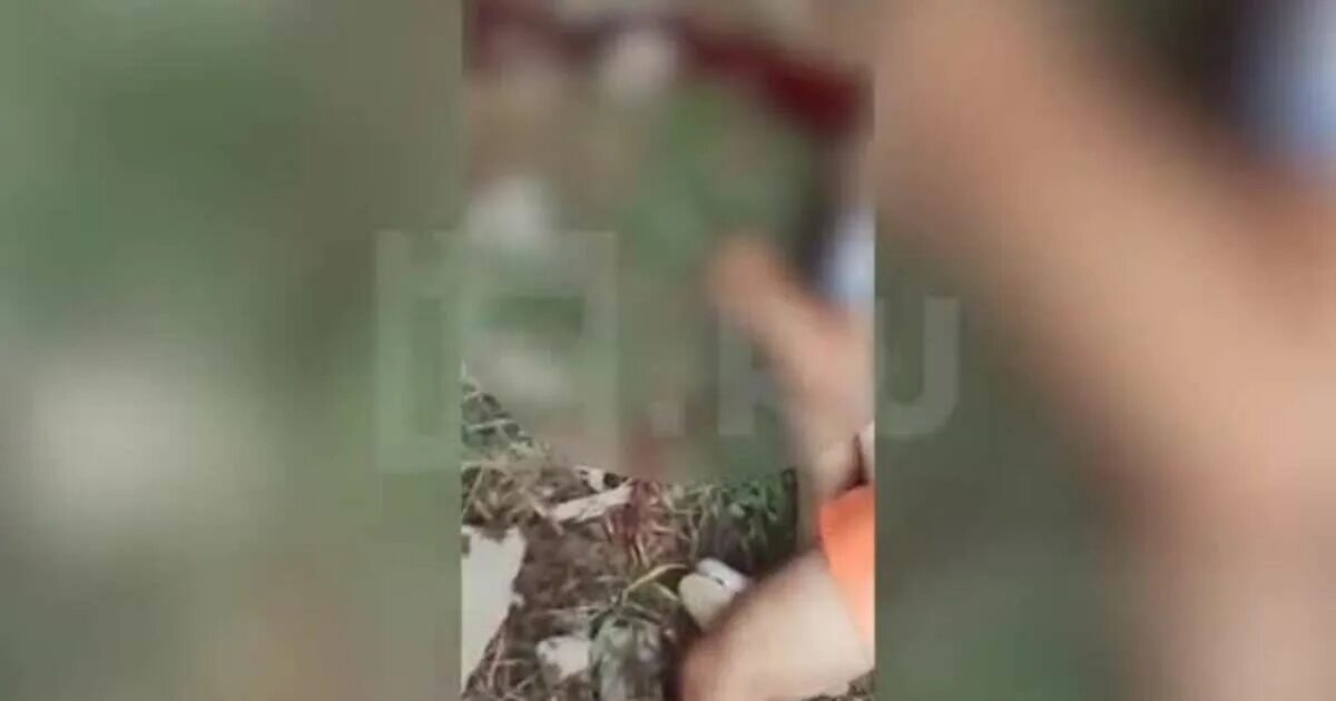 Прорабы в пике. Прорабов сочи. Прорабов сочи. Прорабов сочи. Следователь сочи.