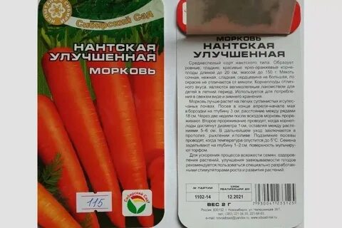 Характеристика моркови сорта