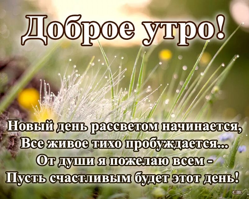 Так пускай холодным рассветом. Радости в новом дне с добрым утром. Здравствуй утро и новый день. Радоваться жизни с добрым утром. Пусть утро и день будут добрыми.