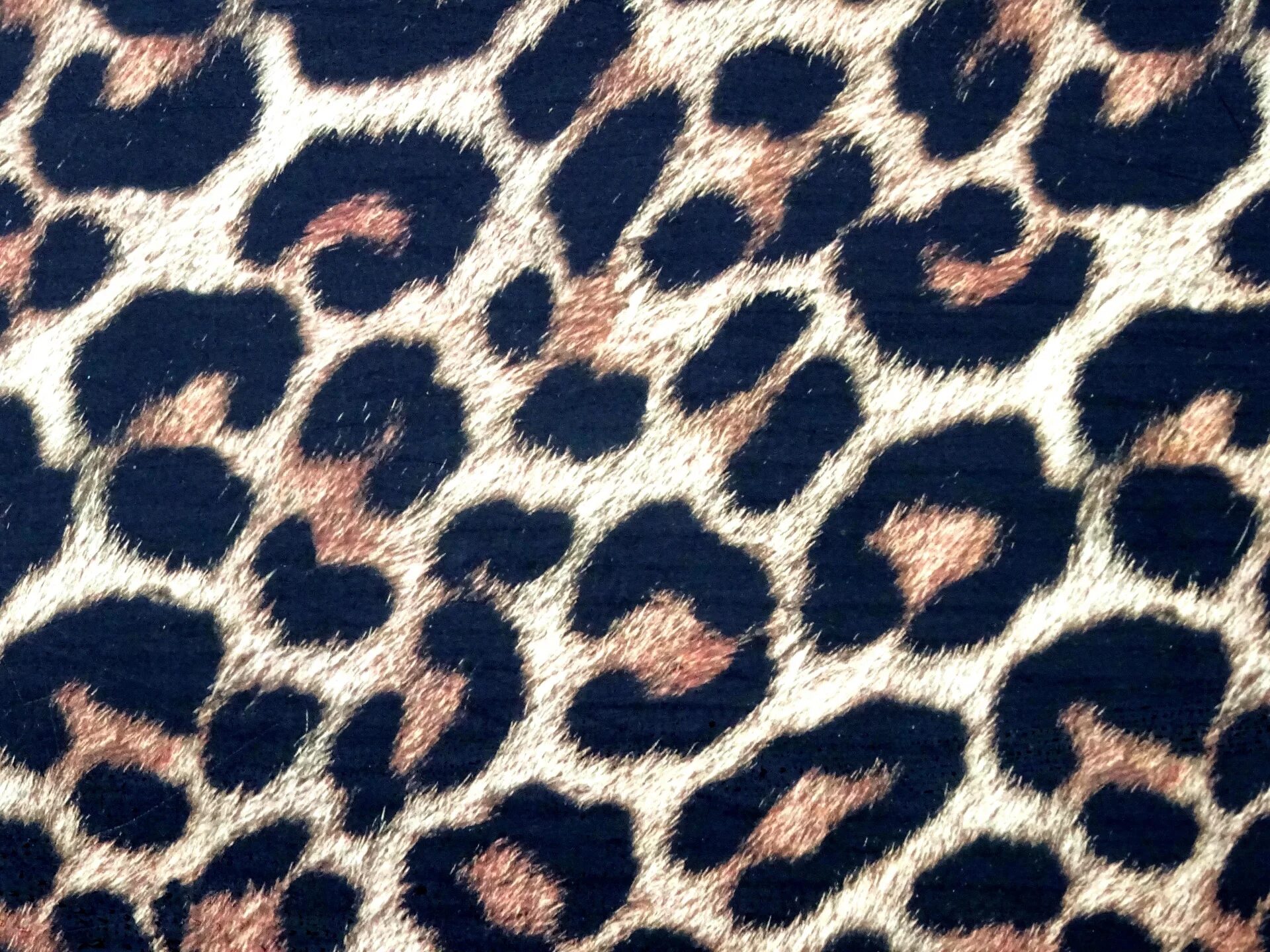 Animal pattern