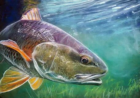 Fish art