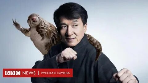 Джеки чан попал